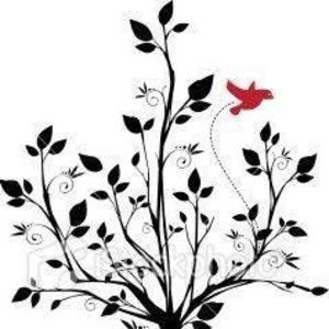 Meet your Posher, Youngji